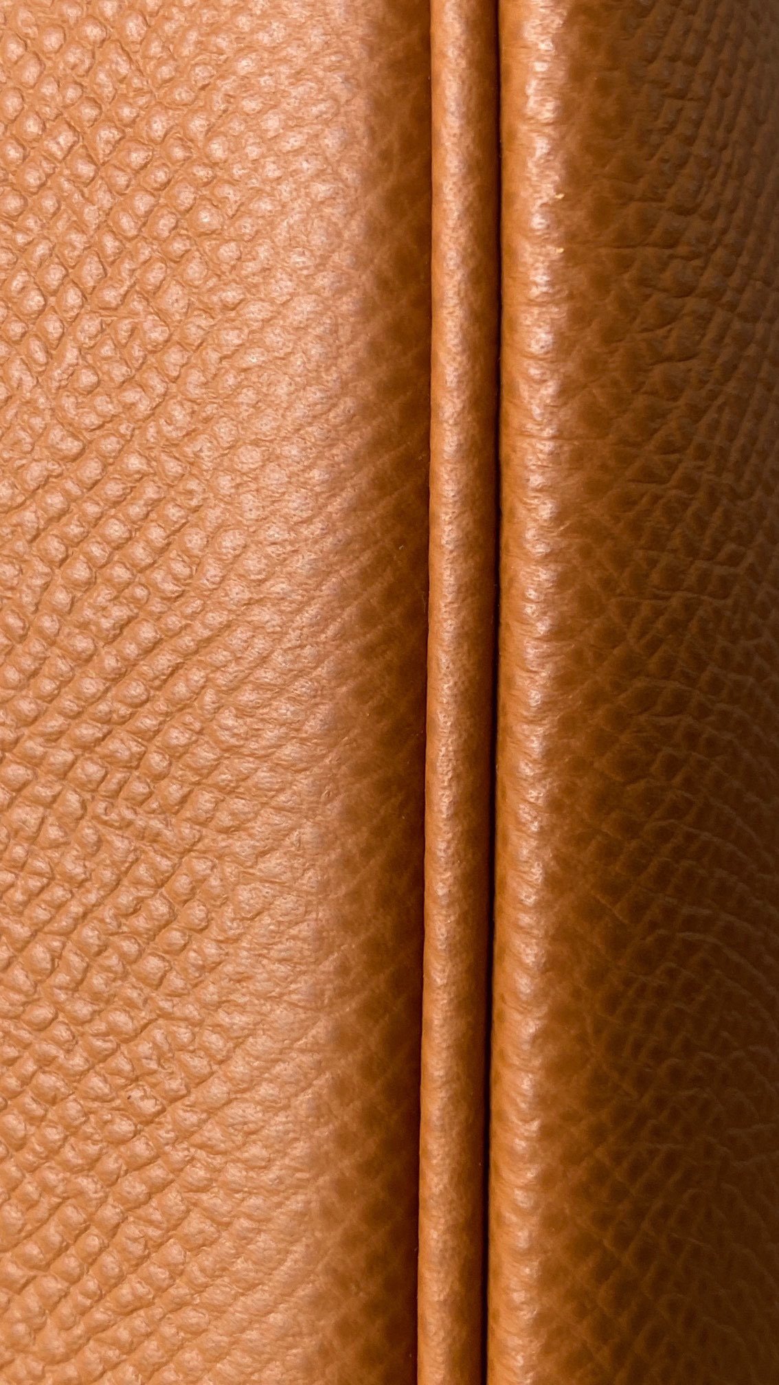 2933ee6c122a50f52d2ec20b9e486767_1702529620_5523.jpg